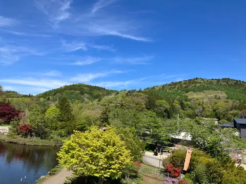 新緑の湖畔に佇む緑の息吹