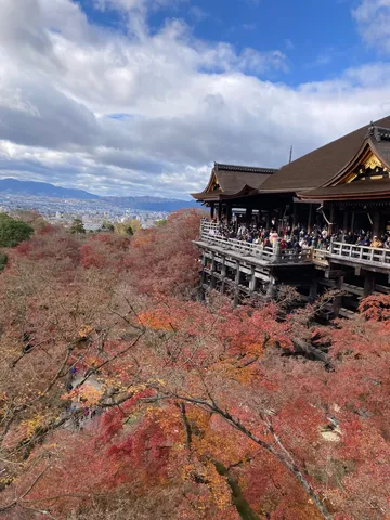 紅葉の舞台、天空の展望台