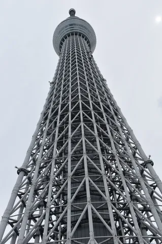 巨大構造物、見上げる！