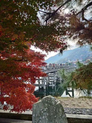 色づく橋と静かな水面