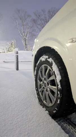 降り積もる雪と車のタイヤ