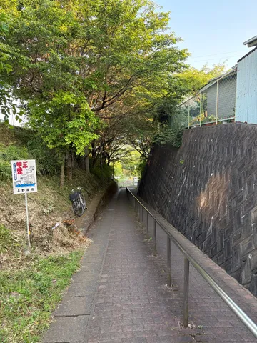 木漏れ日の誘う下り坂