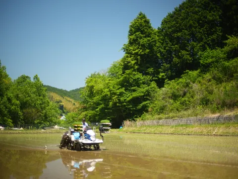 田植え機と緑のコントラスト