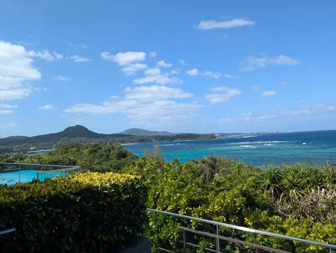 青い海と緑のコントラスト