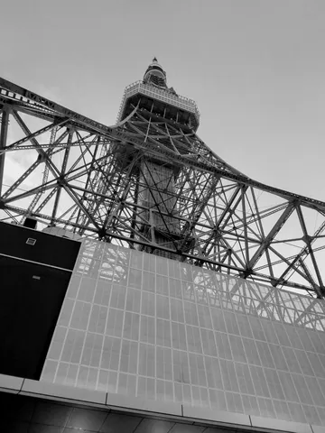 鉄骨の迷宮、空へと伸びる