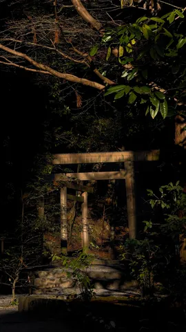 夜の静寂、鳥居の誘い
