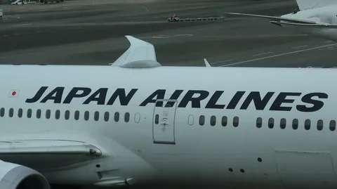 JAPAN AIRLINESの翼