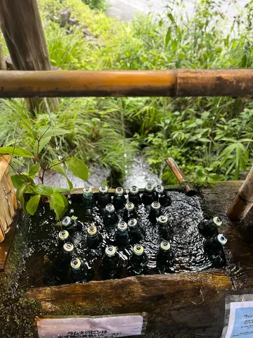 新緑と竹の水辺の静寂