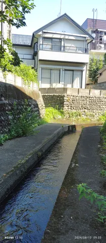 静かな水路と白い家の夏風景