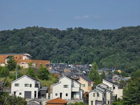 緑に抱かれた丘の上の家々