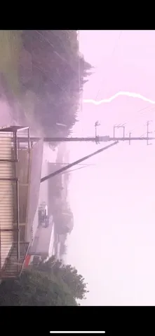 紫の風景に心を運ぶ