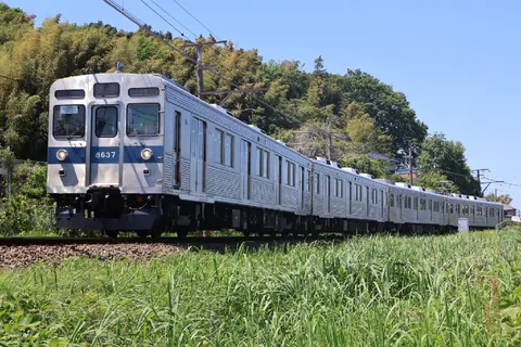 緑の中を駆け抜ける列車
