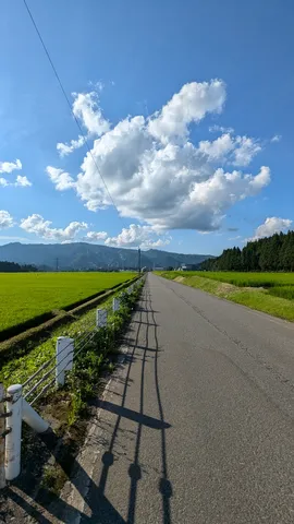 夏の終わりの一本道
