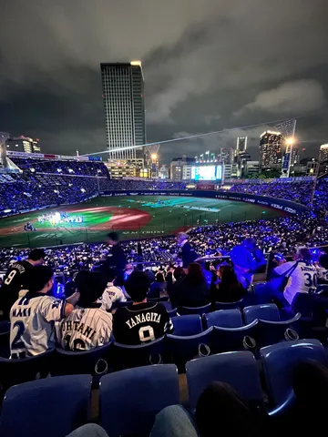 応援席から見守る野球観戦