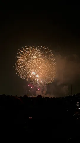 夜空に咲く、黄金の花火