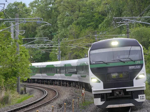新緑のカーブを走る列車