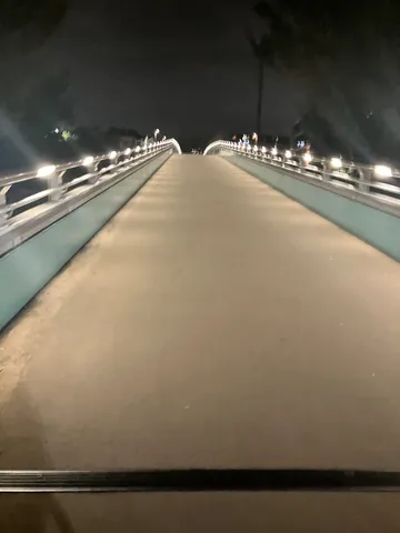 夜の橋に浮かぶ光の道