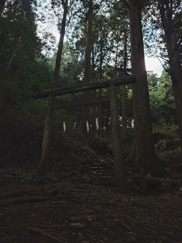 森の奥の石畳の参道