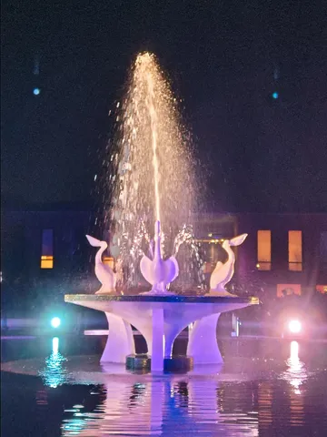 夜空に舞う、光の噴水