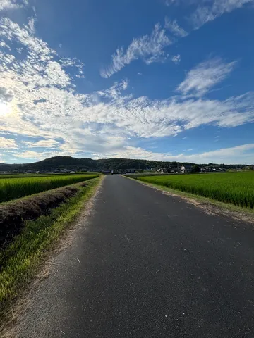 農道を進む、青空と緑のコントラスト
