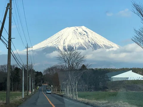 雪をまとった山と静かな道
