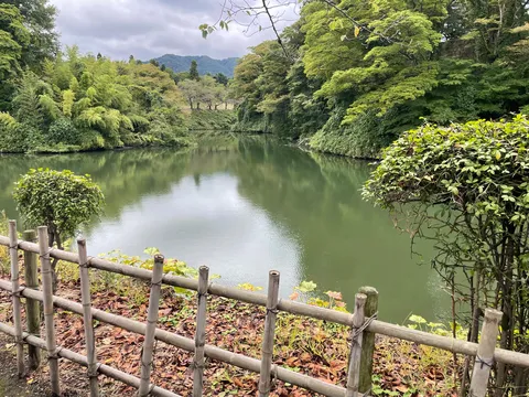 静寂の緑、水面の光