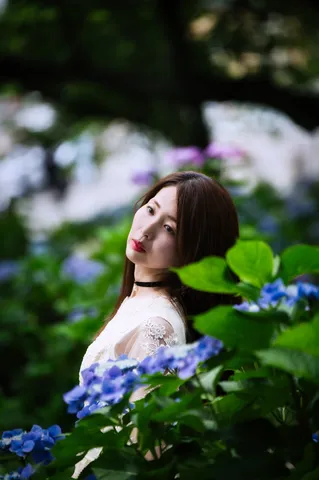 紫陽花に隠れる横顔
