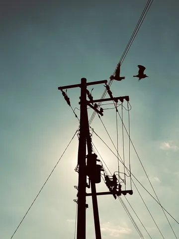 電線と鳥のシルエット、夕空の物語