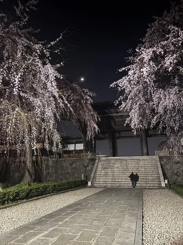 月夜の桜門へ
