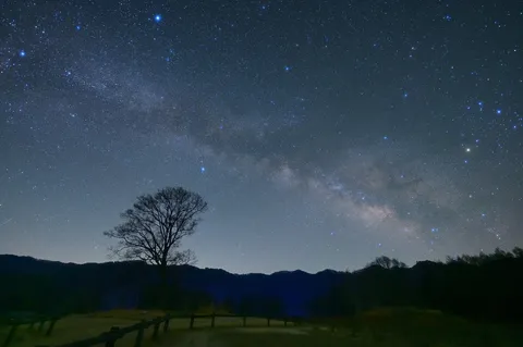 満天の星空と孤高の木