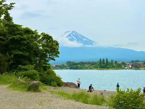 富士と湖畔の涼風