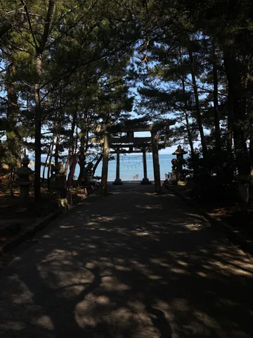 木漏れ日と鳥居、海への誘い
