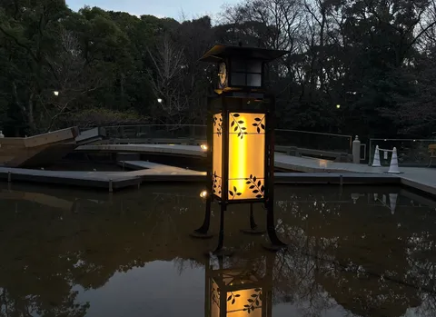 水面に映る、宵の光