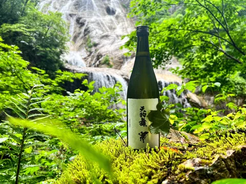 滝と日本酒、癒やしの緑