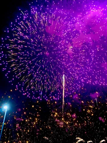 夜空に咲いた紫の花火