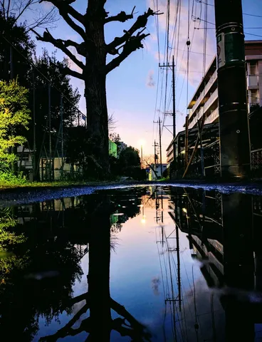 雨上がりの街灯と電柱の鏡像