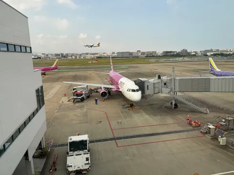 旅立ちを待つ、桃色の翼