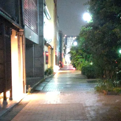 雨上がりの路地裏、灯りに誘われて