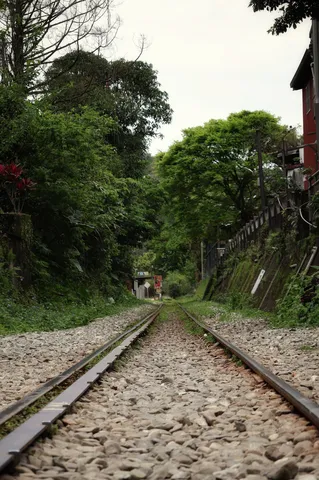進む線路、緑の小道