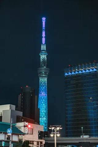 東京の夜、青い煌めき