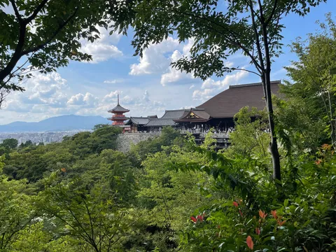 新緑と古都の寺院、悠久の眺め