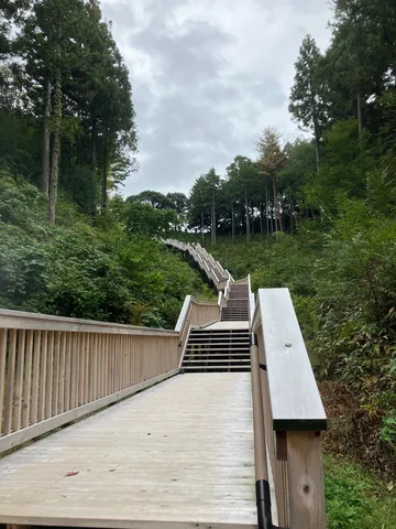 果てしなく続く、緑の階段