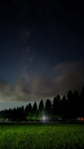 満天の星空と静寂の並木道