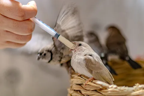 小さな命へ、温かい栄養