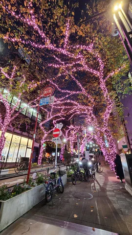 ピンクの光が続く夜道