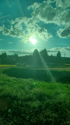 緑の夕陽と風の匂い