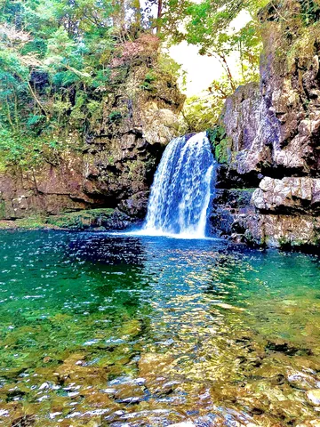 翠色の水面揺らめく滝壺
