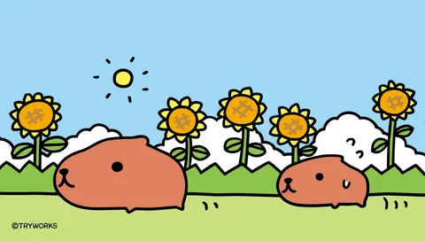 ひまわり畑ののんびりカピバラ