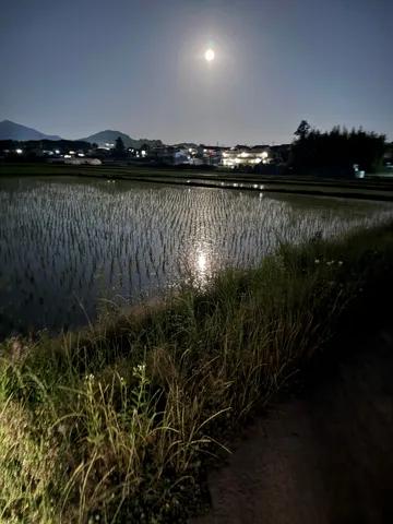 月夜の田んぼ、幻想的な水鏡