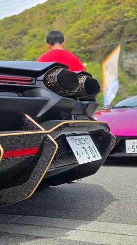 視線を奪う黒と金の競演